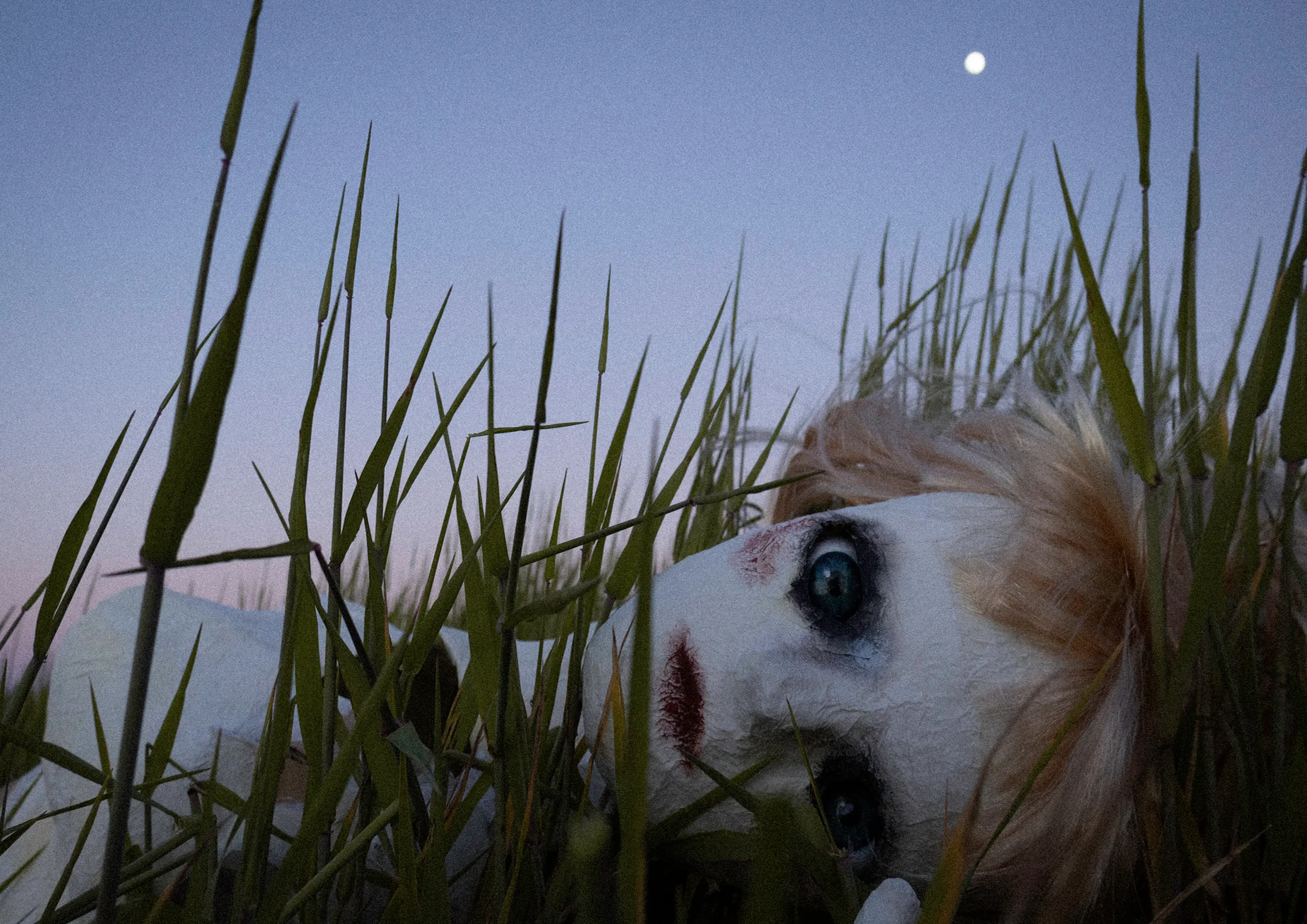 retrato de una muñeca de cartón tirada en una pradera